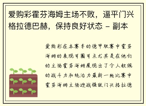 爱购彩霍芬海姆主场不败，逼平门兴格拉德巴赫，保持良好状态 - 副本