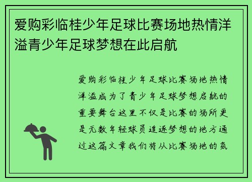 爱购彩临桂少年足球比赛场地热情洋溢青少年足球梦想在此启航